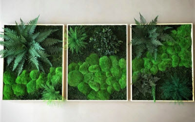 Moss design # umelecké diela